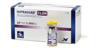 Superior Chicks [ Medication & Vaccinations ]